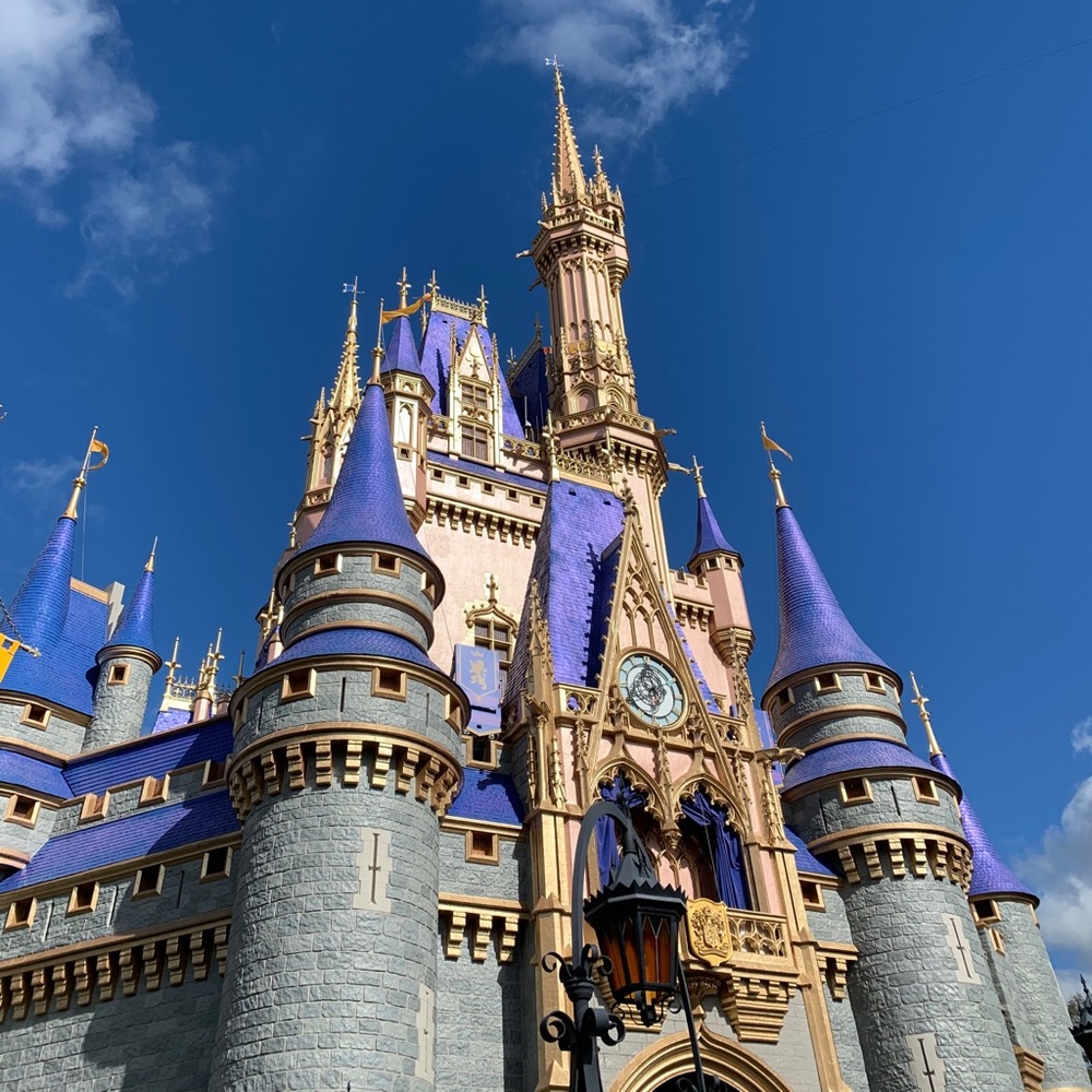 Meet your Posher, Grace